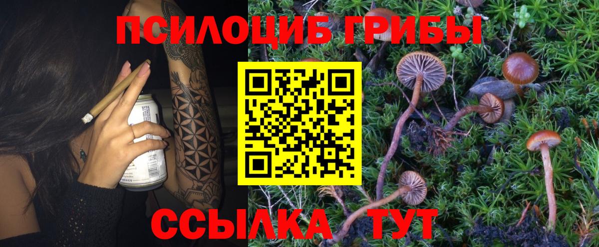 Тайшет  Псилоцибиновые грибы Magic Shrooms  Вход с VPN 