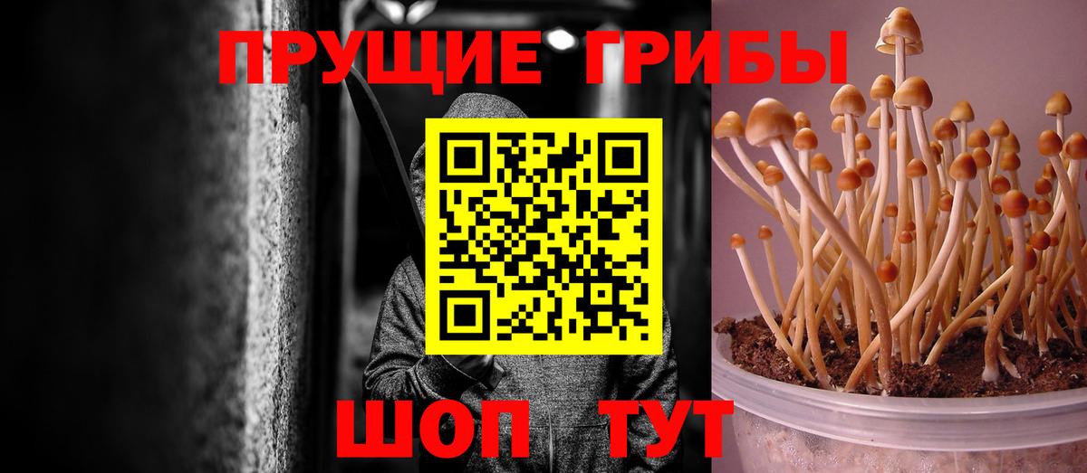 Галлюциногенные грибы прущие грибы Тайшет